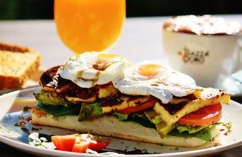 Remington Motor Inn - Coogee Beach Accommodation 59