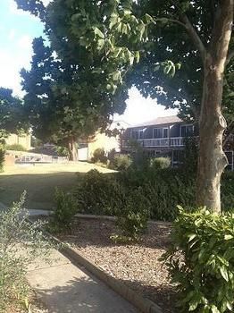 Bathurst Apartments - Coogee Beach Accommodation 9
