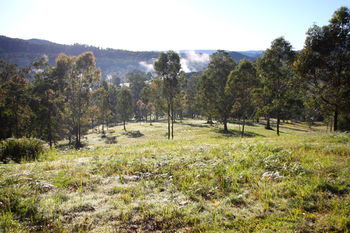 Yabbaloumba Retreat - Coogee Beach Accommodation 21