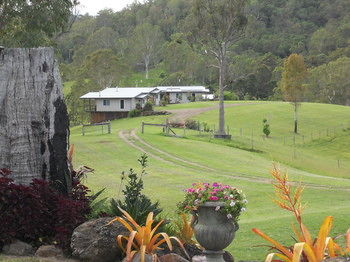 Yabbaloumba Retreat - Coogee Beach Accommodation 26