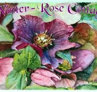 A Winter-rose Cottage BampB - Coogee Beach Accommodation