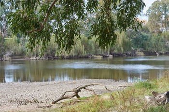 Gundagai Cabins & Tourist Park - Coogee Beach Accommodation 34