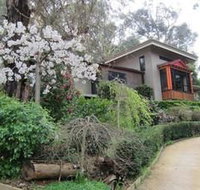Cherryblossom BampB - Coogee Beach Accommodation