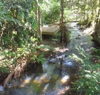 Treetops Accommodation Montville - Coogee Beach Accommodation