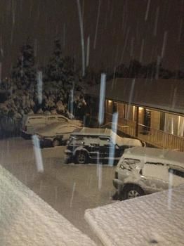 Lithgow Parkside Motor Inn - Coogee Beach Accommodation 8