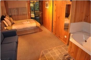 Peppertree Cottage - Coogee Beach Accommodation 4