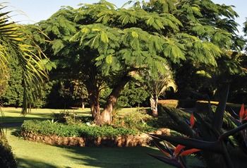 Peppertree Cottage - Coogee Beach Accommodation 10