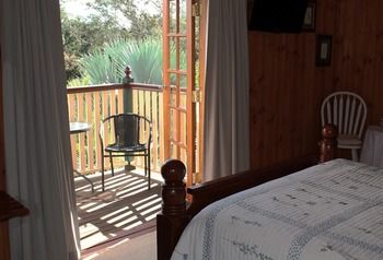Peppertree Cottage - Coogee Beach Accommodation 17