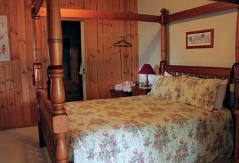 Peppertree Cottage - Coogee Beach Accommodation 18