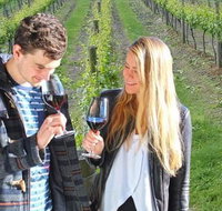 Valley Farm Vineyard Cottages - Coogee Beach Accommodation