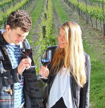 Valley Farm Vineyard Cottages - Coogee Beach Accommodation 0