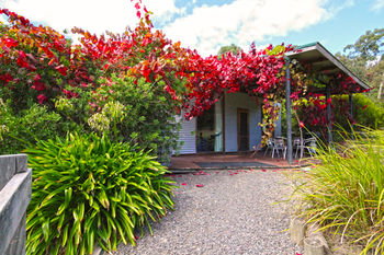 Valley Farm Vineyard Cottages - Coogee Beach Accommodation 4