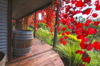 Valley Farm Vineyard Cottages - Coogee Beach Accommodation 5