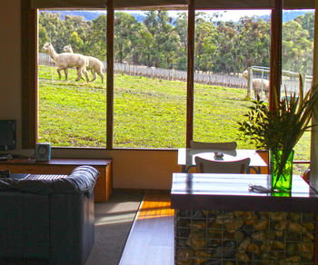 Valley Farm Vineyard Cottages - Coogee Beach Accommodation 17