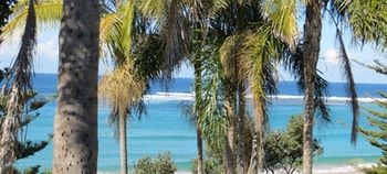 Kims Beachside Lodges - Coogee Beach Accommodation 21