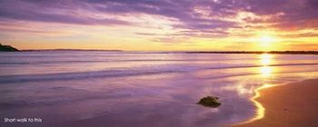 Kims Beachside Lodges - Coogee Beach Accommodation 22