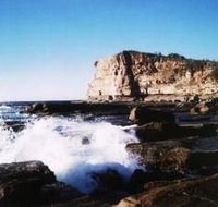 Terrigal Lagoon Bed and Breakfast - Coogee Beach Accommodation