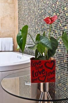 Deja Vu Estate - Coogee Beach Accommodation 12