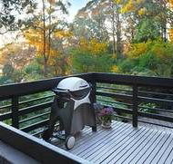 Misty Woods Retreat - Olinda - Coogee Beach Accommodation