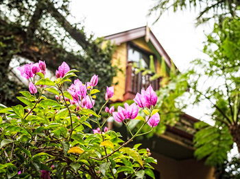The Regents Park - Coogee Beach Accommodation 3