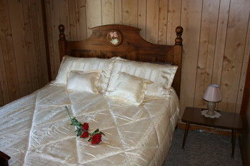 A Settler's Cottage - Coogee Beach Accommodation 13