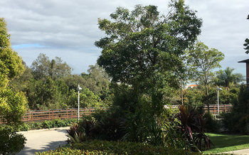 Noosa Residences - Coogee Beach Accommodation 47