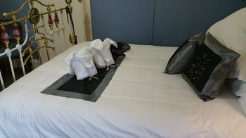 Coppers Hill Private Accommodation - Coogee Beach Accommodation 23
