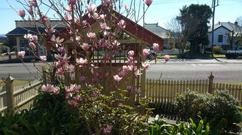37 Queen Gloucester - Coogee Beach Accommodation 5