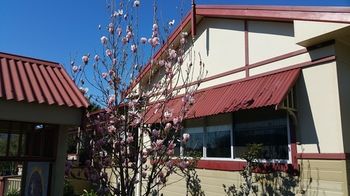 37 Queen Gloucester - Coogee Beach Accommodation 12