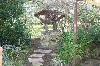 Shady Trees Barrington Holiday House - Coogee Beach Accommodation 12