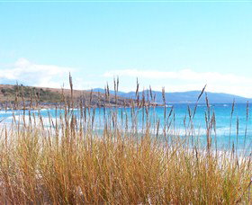 White Sands Estate - Coogee Beach Accommodation 1