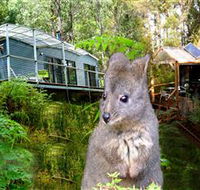 Huon Bush Retreats - Coogee Beach Accommodation