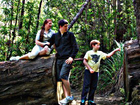 Tahune Airwalk Lodge - Coogee Beach Accommodation 0