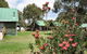 Derwent Bridge Chalets & Studios - thumb 0