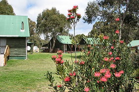 Derwent Bridge Chalets & Studios - Coogee Beach Accommodation 0