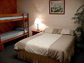 Woodfield Adventure Park - Coogee Beach Accommodation 0