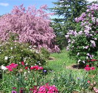 Elmshurst - Coogee Beach Accommodation