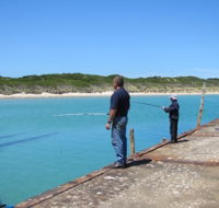 Three Hummock Island Accommodation - Coogee Beach Accommodation