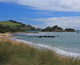 Moonlight Bay B&B Guest House - Coogee Beach Accommodation 3