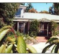 Castagni Bed  Breakfast - Coogee Beach Accommodation