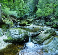 Tarkine Wilderness Experience at Corinna - Coogee Beach Accommodation