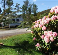 Zeehan Bush Camp  and Caravan Park - Coogee Beach Accommodation