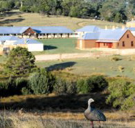 Penitentiary Accommodation Units - Coogee Beach Accommodation