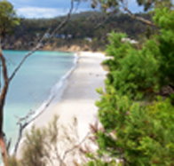 Weilangta Holiday Home - Coogee Beach Accommodation