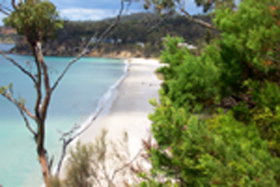 Weilangta Holiday Home - Coogee Beach Accommodation 0