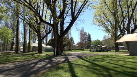 Myrtleford Holiday Park - Coogee Beach Accommodation 3