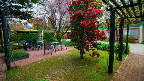 Carawatha Gardens - Coogee Beach Accommodation 0
