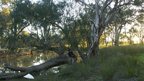 Numurkah Caravan Park - Coogee Beach Accommodation 5