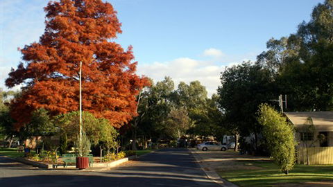 Numurkah Caravan Park - Coogee Beach Accommodation 6