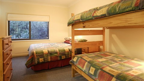 Diana Alpine Lodge - Coogee Beach Accommodation 1